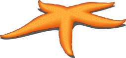 Best free Clipart of a Starfish
