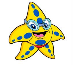 Cartoon Starfish Clipart cute