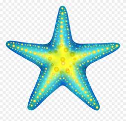 Best Starfish Multicolor Clipart