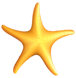 High Starfish Clipart images