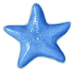 Blue Starfish high quality Clipart
