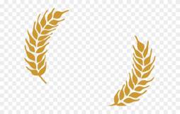Wheat icon, Pictures of Wheat Clipart