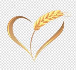 Wheat Heart Clipart, Harvest Wheat Transparent Png