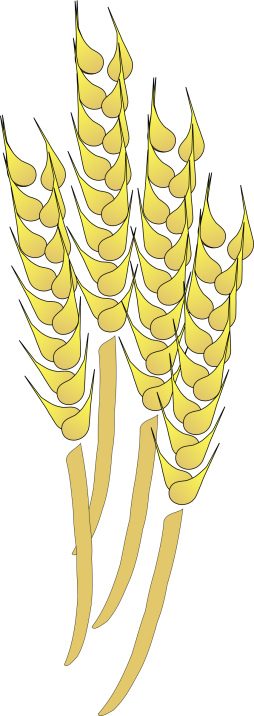 Download Beautiful Clipart Wheat, Grain, Harvest, Png