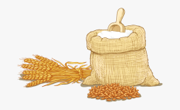 Wheat Png, Floral creal wheat Grains Clipart